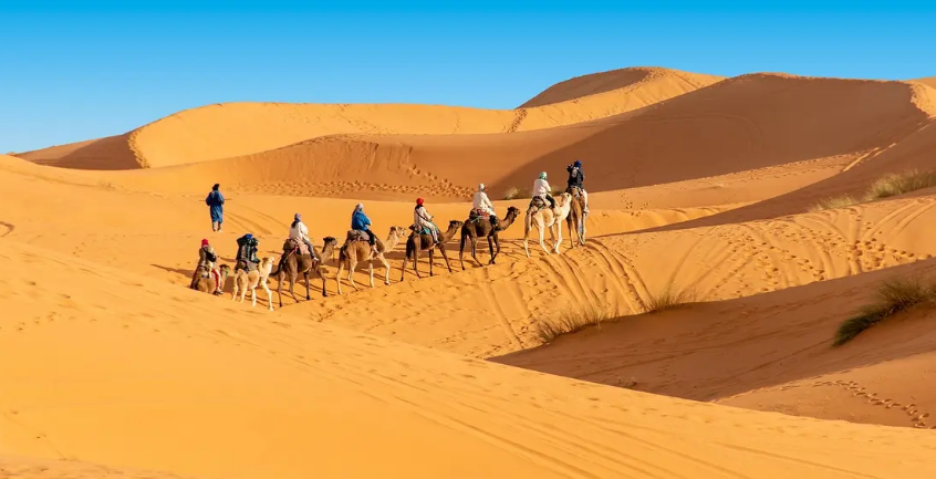 Chebbi vs Chigaga