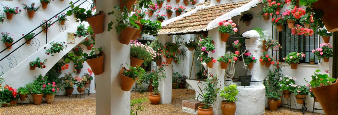 Cordoba Patios Festival 2025